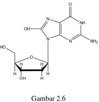 Struktur 8-Hidroksi-Gambar 2.6 2’-deoksiguanosin (Nakajima et al., 2012). 