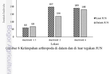 Tabel 2 Keanekaragaman famili arthropoda pada Tegakan JUN 
