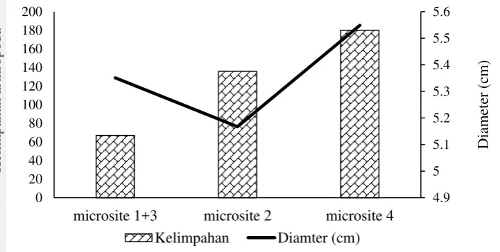 Tabel 6 Microsite terbaik pada tegakan JUN 