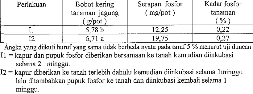 Tabel 1. Pengaruh Perlakuan Inkubasi Kapur dan Fosfor terbadap Bobot Kering Tanaman Jagung, Serapan Fosfor dan Kadar Fosfor Tanaman 