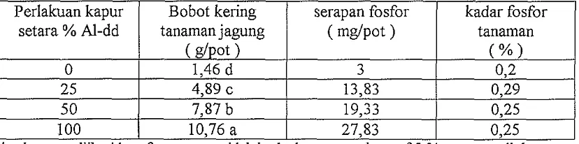 Tabel 3. Pengaruh Perlakuan kapur terhadap bobot kering tanaman jagung, serapan fosfor dan kadar fosfor tanaman 