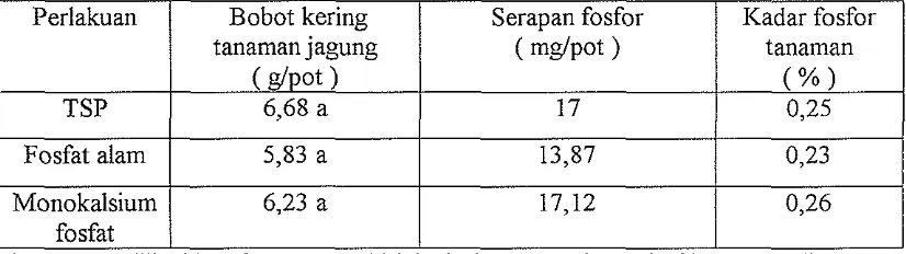 Tabel 5. Pengamh Perlakuan Pemupukan Fosfor terhadap Bobot Kerinz Tanaman Jagung, Serapan Fosfor dan Kadar Fosfor Tanaman 
