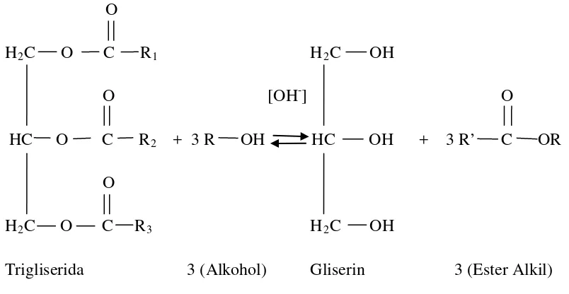 Gambar 3. Reaksi Transesterifikasi 