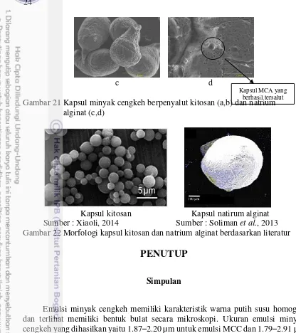 Gambar 22 Morfologi kapsul kitosan dan natrium alginat berdasarkan literatur 