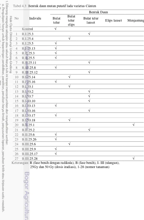 Tabel 4.3  Bentuk daun mutan putatif lada varietas Ciinten 