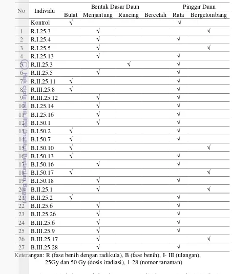 Tabel 4.4  Bentuk dasar daun dan pinggir daun mutan putatif  lada varietas Ciinten 