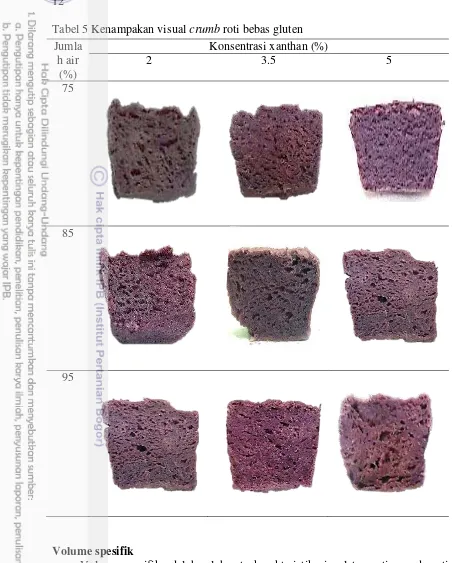 Tabel 5 Kenampakan visual crumb roti bebas gluten 