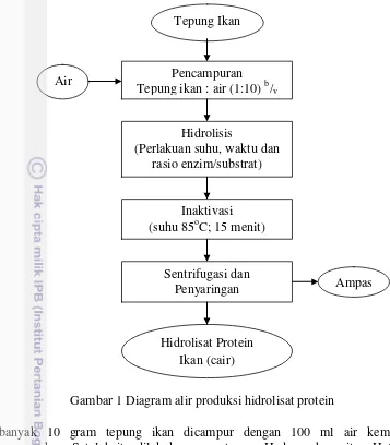 Gambar 1 Diagram alir produksi hidrolisat protein 