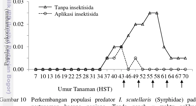 Gambar 10 Perkembangan populasi predator I. scutellaris (Syrphidae) pada 