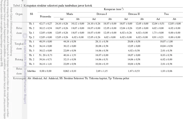 Tabel 2  Kerapatan struktur sekretori pada tumbuhan jawer kotok 