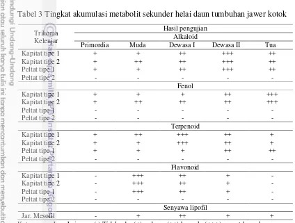 Tabel 3 Tingkat akumulasi metabolit sekunder helai daun tumbuhan jawer kotok 