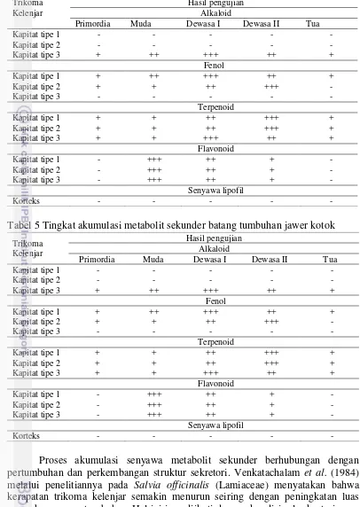 Tabel 5 Tingkat akumulasi metabolit sekunder batang tumbuhan jawer kotok 