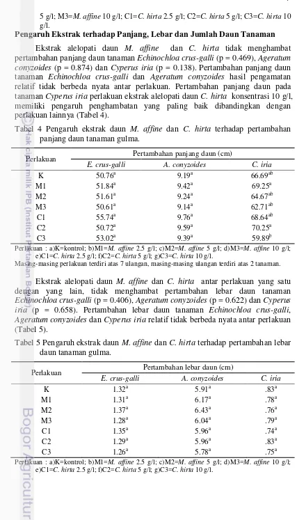 Tabel 4 Pengaruh ekstrak daun M. affine dan C. hirta terhadap pertambahan 