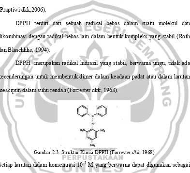 Gambar 2.3. Struktur Kimia DPPH (Forrester  dkk