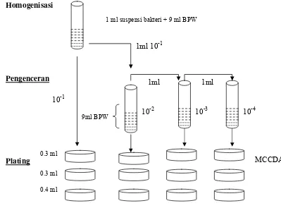 Gambar 5 Diagram alir prosedur penghitungan Campylobacter jejuni dengan metode 