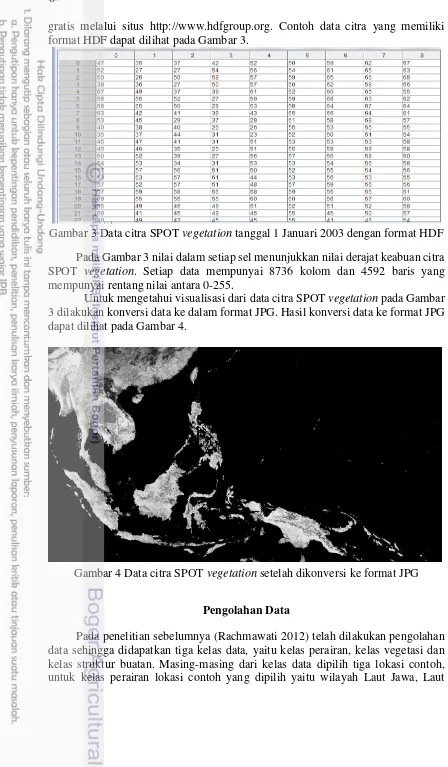 Gambar 3 Data citra SPOT vegetation tanggal 1 Januari 2003 dengan format HDF 