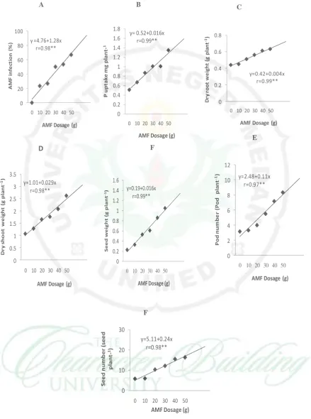 Fig. 4 (A-G):  A). The relationship between AMF dosages and  AMF infection. B). Therelationship between AMF dosages and   P uptake