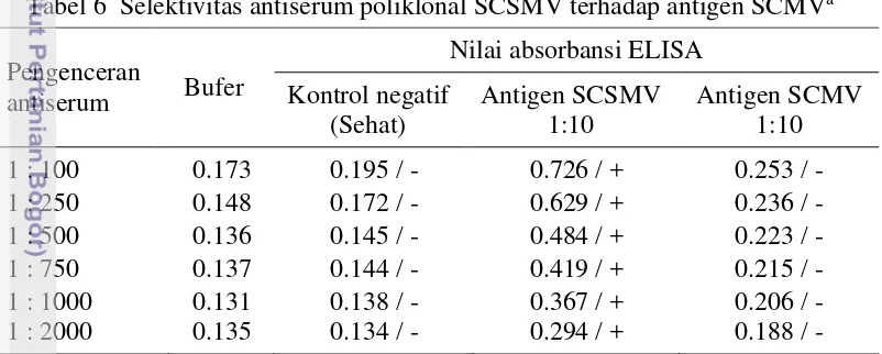 Tabel 6  Selektivitas antiserum poliklonal SCSMV terhadap antigen SCMVa 