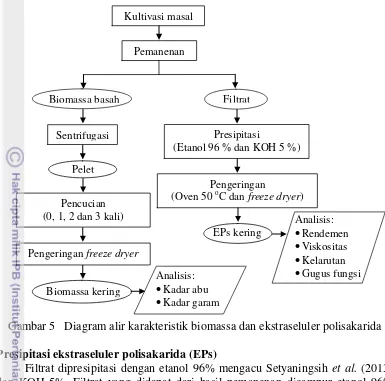 Gambar 5 Diagram alir karakteristik biomassa dan ekstraseluler polisakarida 
