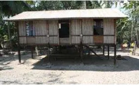Gambar 3. Rumah panggung di RW 5 Kelurahan Takari yang dibangun sebagai upaya adaptasi reaktif warga karena tempat tinggalnya sering dilanda banjir pada saat musim hujan