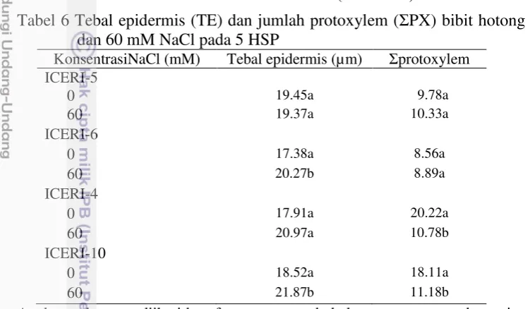 Tabel 6 Tebal epidermis (TE) dan jumlah protoxylem (ΣPX) bibit hotong pada 0 