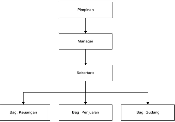 Gambar 2.1 Struktur Organisasi CV.Trendy House Palembang 