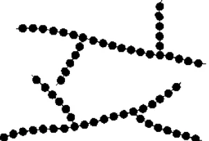 Figure 2.3: Branches chain structure 