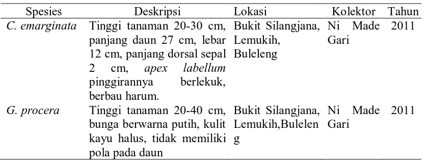 Tabel 1. Informasi sampel herbarium yang digunakan 