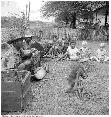 Gambar II.16. Pementasan topeng monyet di Indonesia 