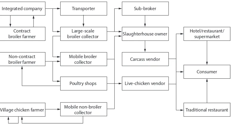 Figure 1. Stakeholder relationships in the meat-chicken marketing chain