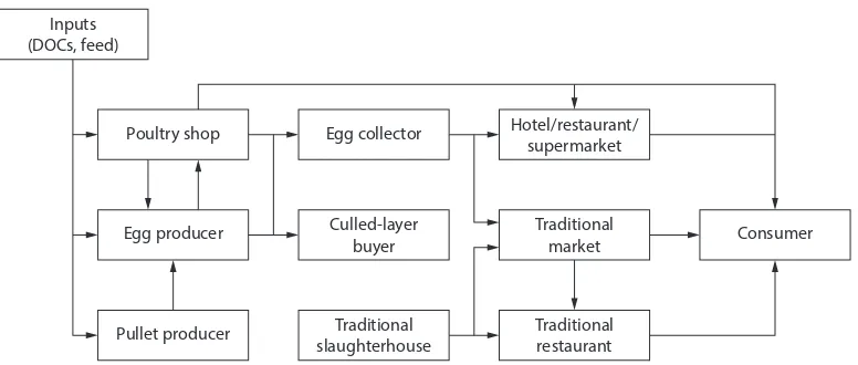 Figure 3. Egg, layer-chicken and cockerel marketing chain