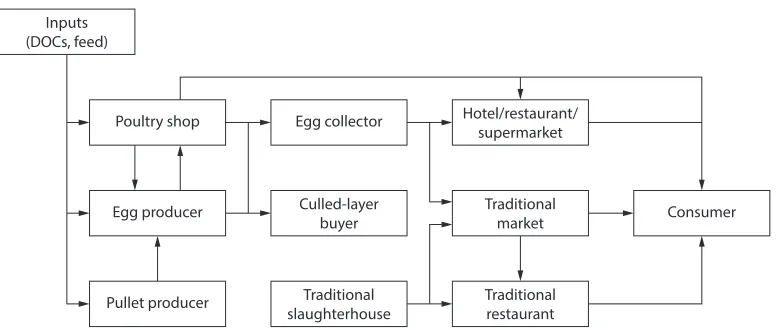 Figure 3. Egg, layer-chicken and cockerel marketing chain