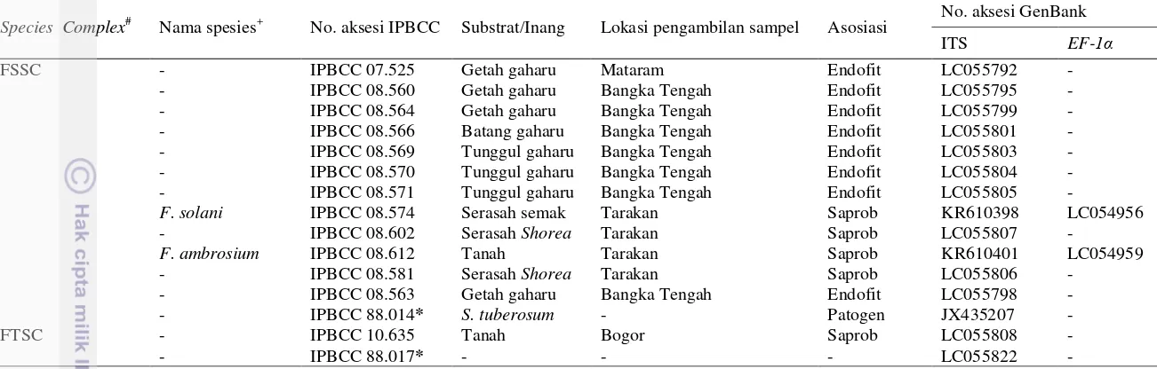 Tabel 1  Daftar galur Fusarium yang digunakan dalam penelitian (lanjutan...) 