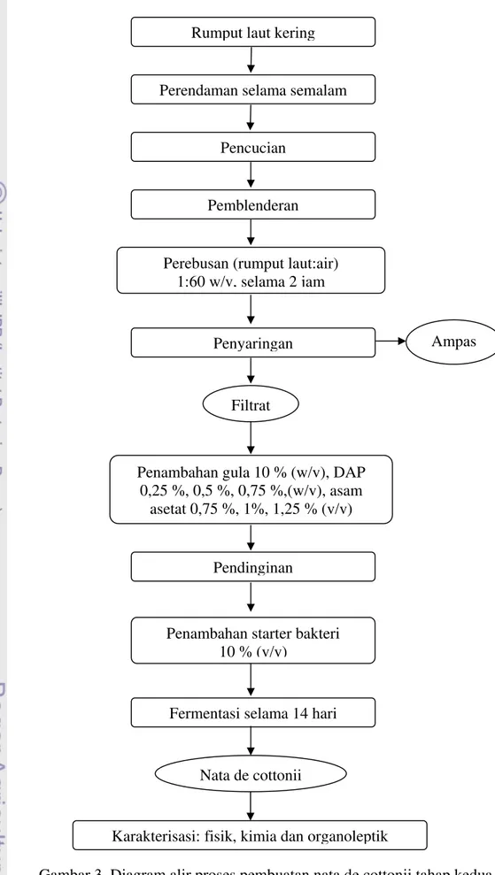 Gambar 3. Diagram alir proses pembuatan nata de cottonii tahap kedua  (BPPMHP 2005)  