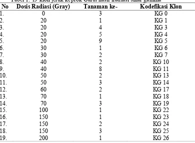 Tabel 1. 19 klon jeruk keprok Garut hasil iradiasi sinar gamma  