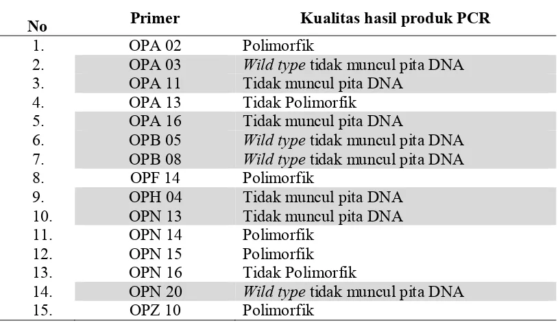 Tabel 3. Penampilan PCR 15 primer RAPD pada 19 klon jeruk keprok Garut mutan putatif 