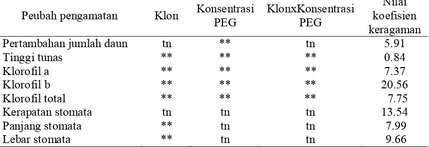 Gambar 5. Kondisi kultur in vitro tunas klon KG 0 perlakuan cekaman 