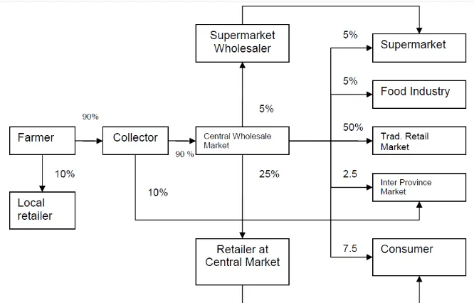Figure 7. Market supply chain of chili in East Java, Indonesia Source: White et al. (2007) 