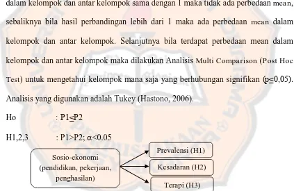 Gambar 4. Bagan Perumusan Hipotesis Faktor Sosio-Ekonomi 