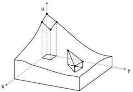 Gambar 4 Elemen triangular dan quadrilateral 