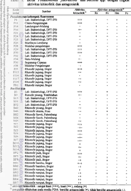 Tabel 1. Isolat Pseudomonas fluorescens dan Bacillus spp. dengan tingkat 