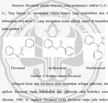 Gambar 3. Struktur umum flavonoid 