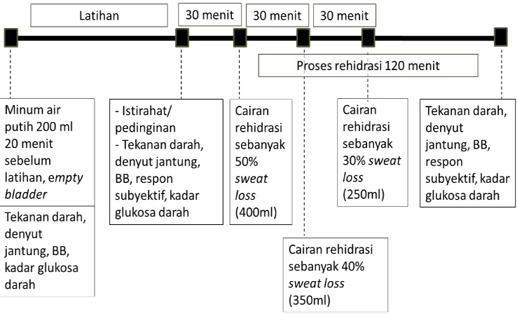 Gambar 3  Prosedur intervensi dan pengukuran (modifikasi Saat et al. 2002) 