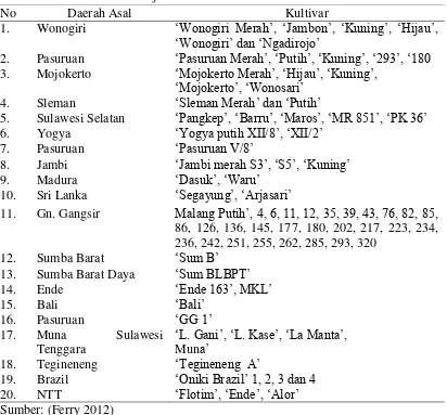 Tabel 1 Nama-nama kultivar jambu mete di Indonesia  