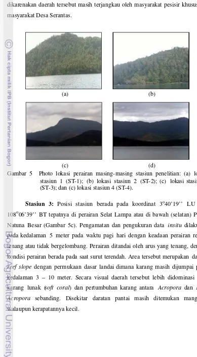 Gambar 5  Photo lokasi perairan masing-masing stasiun penelitian: (a) lokasi 