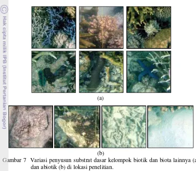 Gambar 7  Variasi penyusun substrat dasar kelompok biotik dan biota lainnya (a) 