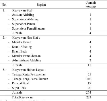 Tabel 2. Jumlah dan Posisi Tenaga Kerja di Afdeling 7 PT Cipta Futura Plantation  Bulan Mei 2009 