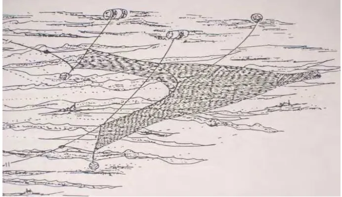 Gambar  7 Gombang (Balai Penelitian Perikanan Laut, 2000) 