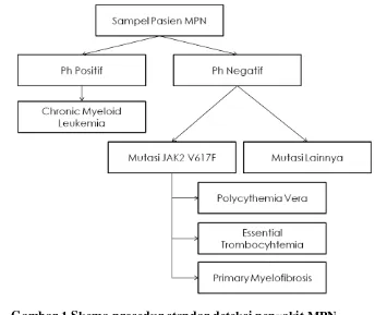 Gambar 1 Skema prosedur standar deteksi penyakit MPN 