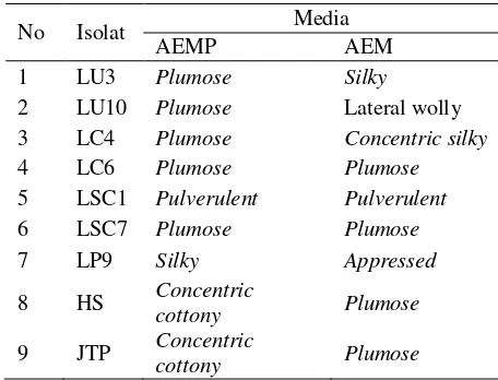 Tabel 1 Penampakan koloni isolat Lentinus (LU3, LU10, LC4, LC6, LSC1, LSC7, LP9), HS, dan Pleurotus (JTP) di  media AEMP dan AEM 